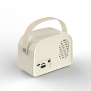 ANTIQ SPEAKER – Compact High-Quality Loudspeaker with Timeless Design for Crisp, Immersive Audio - Image 6